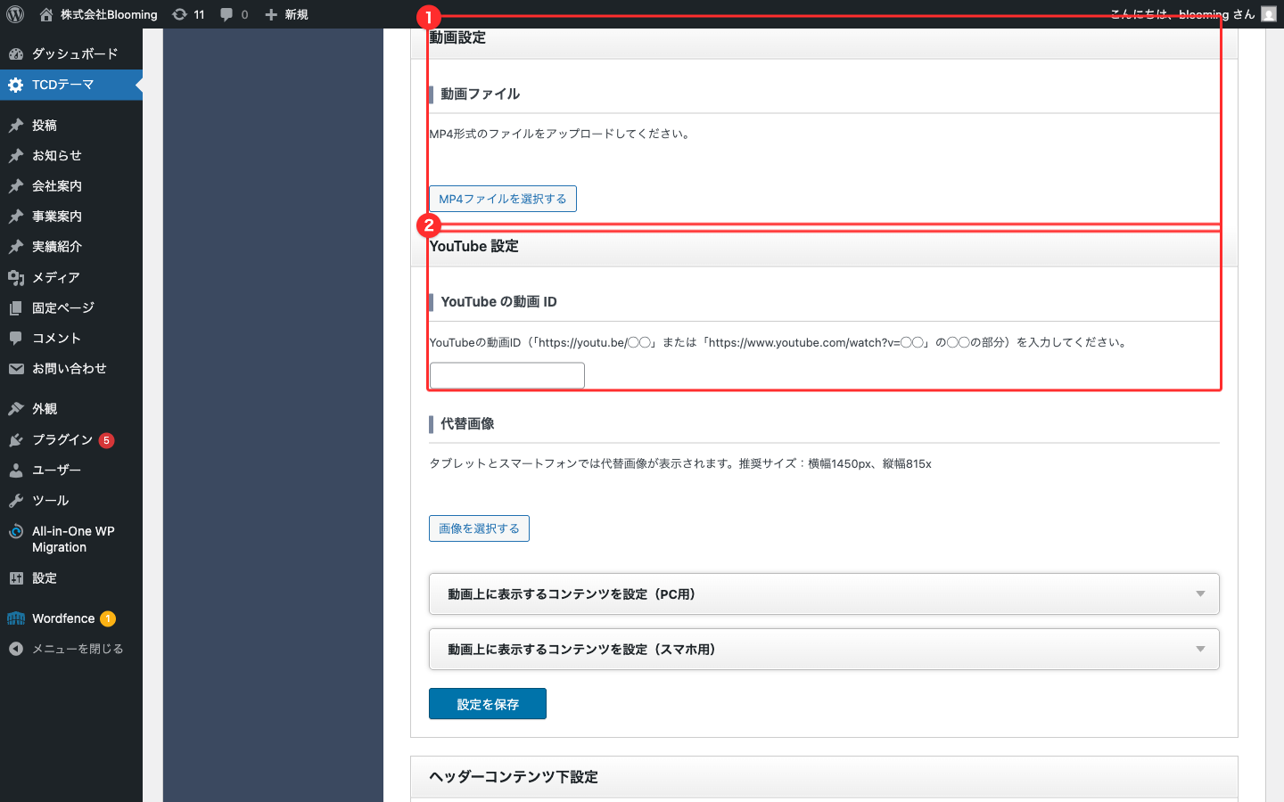動画設定 / YouTube設定 の概観（type2 を選ぶと出るブロック）